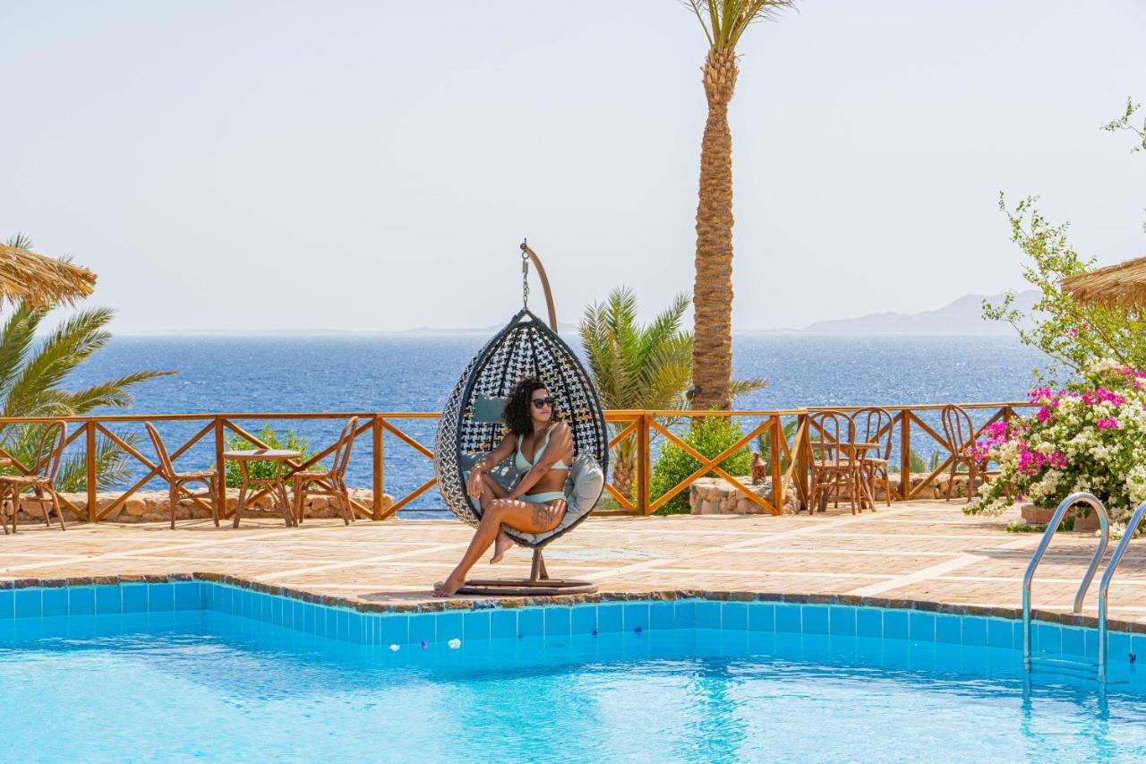 Resort Club Reef &
