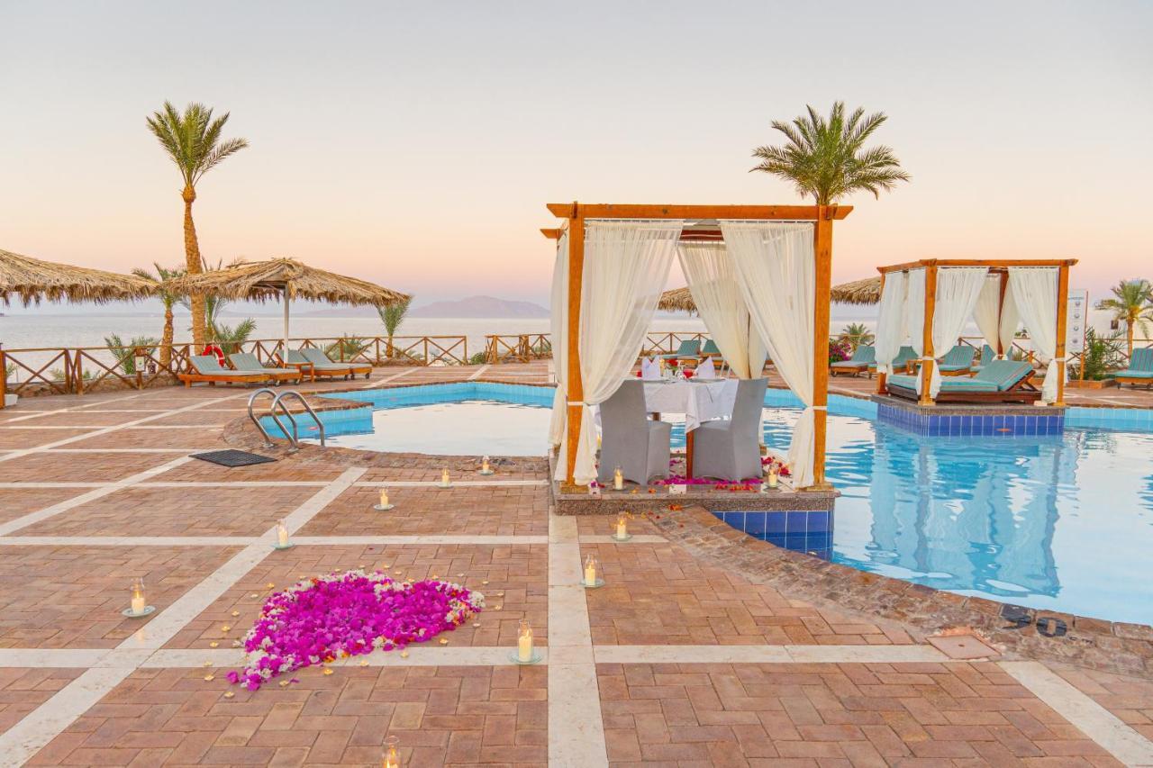 Club Reef & Complex 4*