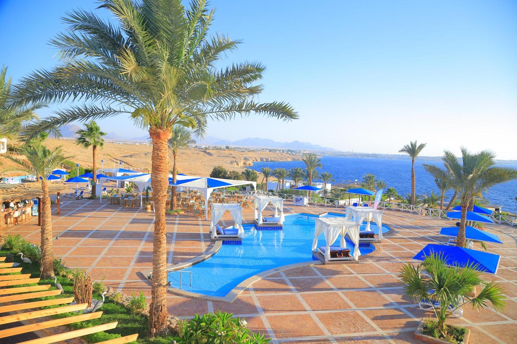 Complex Club Reef &